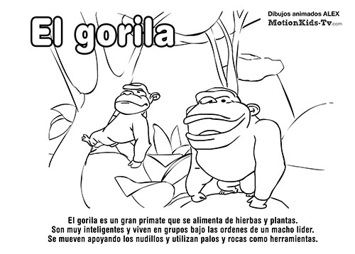 Ficha educativa el gorila, animales para descargar